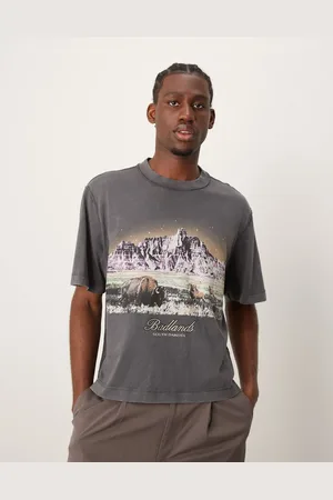 Abercrombie & Fitch Camiseta corta gris carbón con lavado ácido y estampado del parque nacional Badlands de