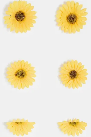 DesignB London Pack de 6 pinzas para el cabello de girasoles de