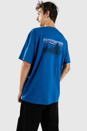 Patagonia 73 Skyline Organic Camiseta azul