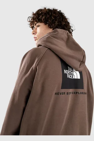 The North Face Raglan Redbox Sudadera con Capucha marrón