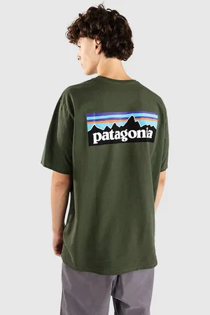 Patagonia P-6 Logo Responsibili Camiseta verde