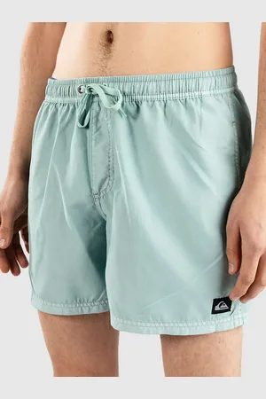 Quiksilver Everyday Surfwash Volley 15 Bañador azul