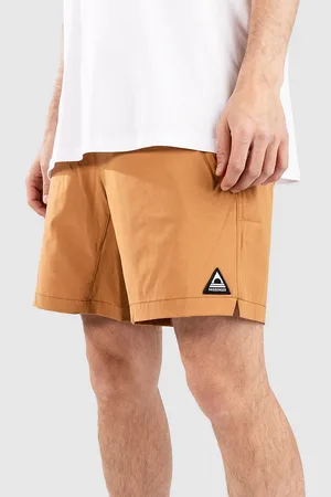 PASSENGER Traveller 2.0 Organic All Purpose Pantalones Cortos marrón