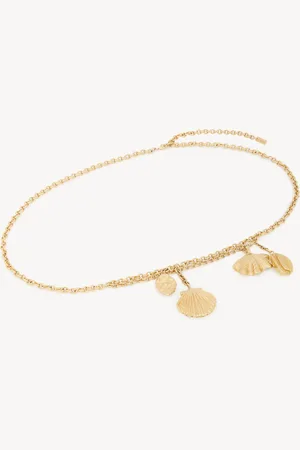Chloé Cinturón Chloé Shells