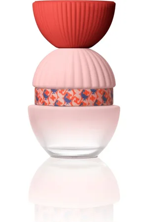 El ganso Fun & Chic Perfumes 50 ml female