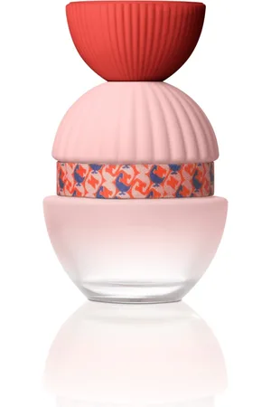 El ganso Fun & Chic Perfumes 100 ml female