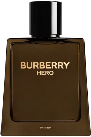 Burberry Hero Perfumes 100 ml male