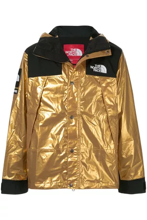 Supreme TNF metallic mountain parka