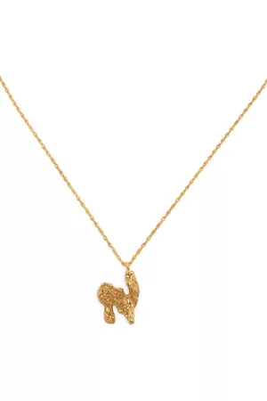 Lee Collar con colgante de letra N