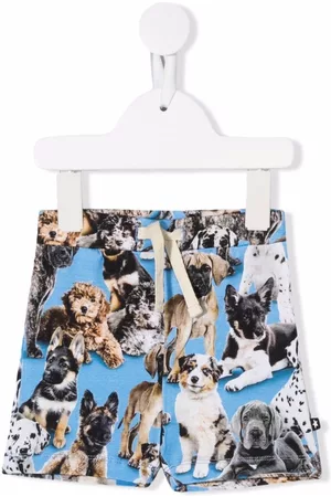 Molo Pantalones cortos con perro estampado