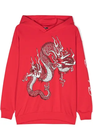 Balmain Sudadera con capucha y estampado 3D Dragon
