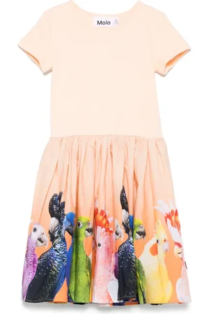 Molo Vestido Cissa