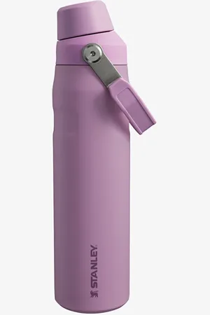 Stanley The Aerolight™ IceFlow™ Water Bottle Fast Flow 600 ml Universal