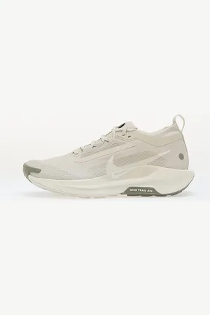 Nike Zapatillas Pegasus Trail 5 Gore-Tex / EUR 44
