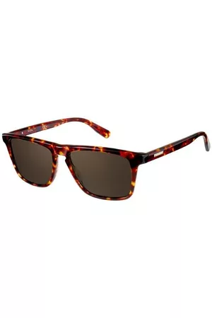 Pierre Cardin P.C. 6190/S SX5/8H Gafas de Sol para Hombre Careyshell