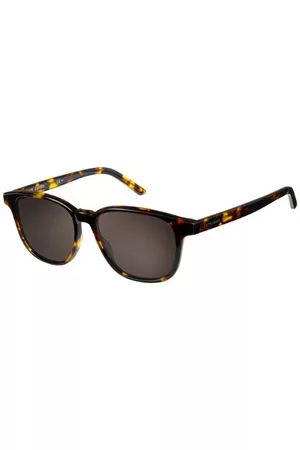 Pierre Cardin P.C. 6192/S SX7/NR Gafas de Sol para Hombre Careyshell