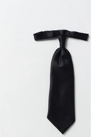 corneliani Corbata Hombre color