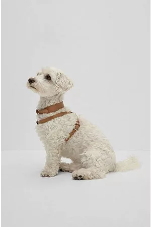 HUGO BOSS Hombre Collares - Collar para perros de piel reciclada