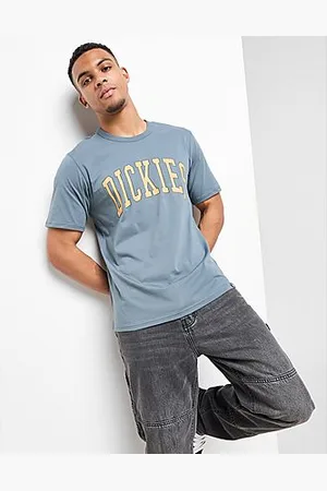 Dickies Camiseta Aitkin Large Logo