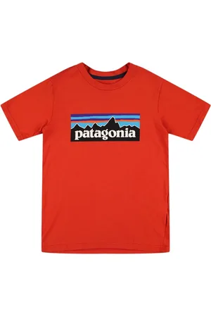 Patagonia Camiseta De Algodón Orgánico