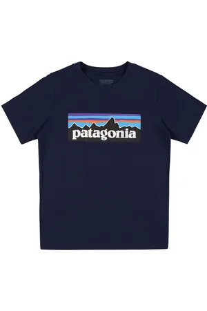 Patagonia Camiseta De Algodón Orgánico