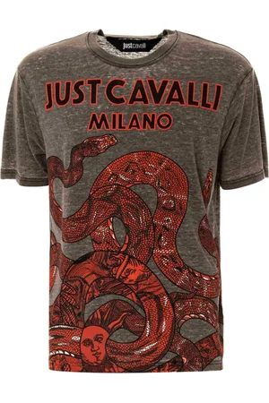 Roberto Cavalli Hombre, Camisetas, Gris, Talla: M