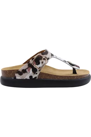 Scholl Mujer, Zapatos, , Talla: 38 EU
