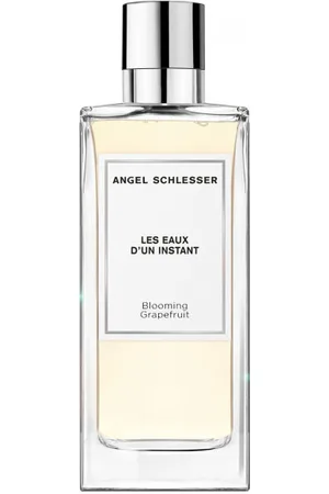 Angel Schlesser Les Eaux D