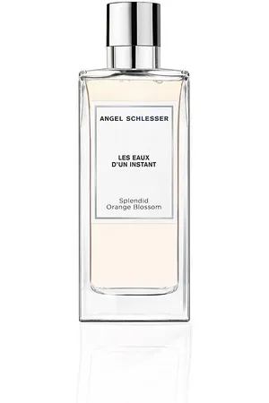 Angel Schlesser LES EAUX D