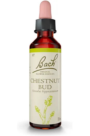 Bach FLORES DE (07) chestnut bud 20 ml