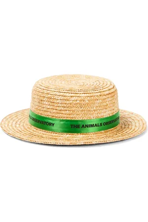The Animals Observatory Sombrero