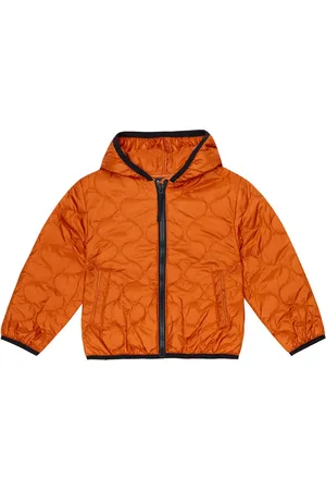 Il gufo Chaqueta acolchada