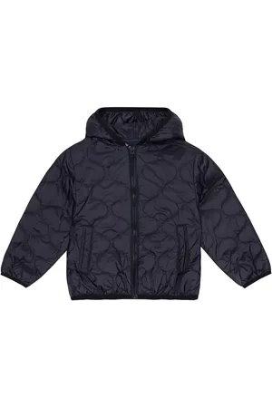Il gufo Chaqueta acolchada