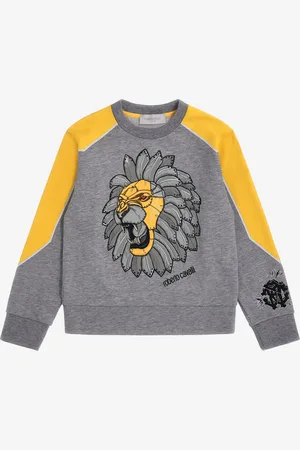 Roberto Cavalli Printed sweatshirt