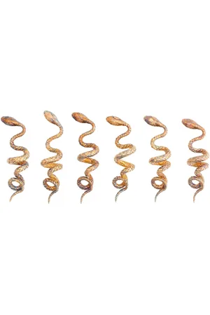Roberto Cavalli Snake Napkin Holder Set