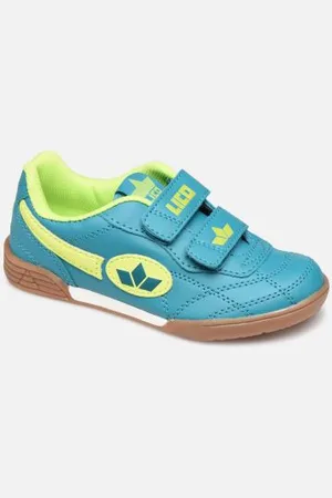 LICO Bernie V