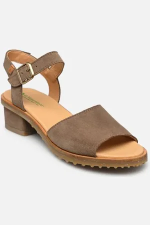 El Naturalista Sabal N5801