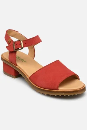 El Naturalista Sabal N5801