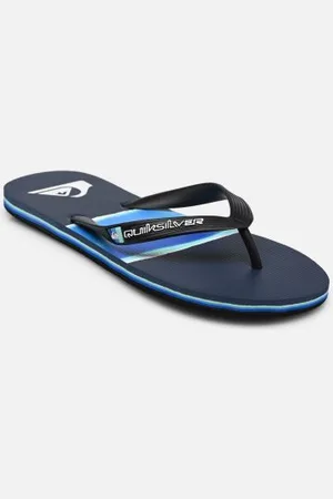 Quiksilver MOLOKAI AIRBRUSHED