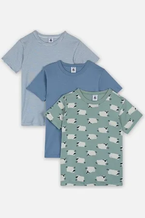 Petit Bateau 3 Tee Shirts MC A0BHO00