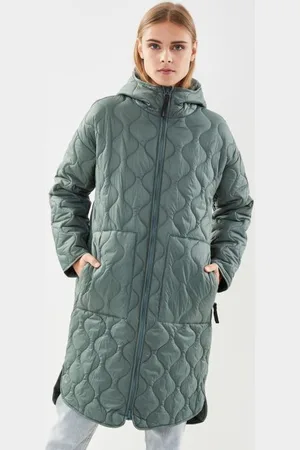 Icepeak AALEA