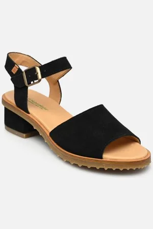 El Naturalista Sabal N5801