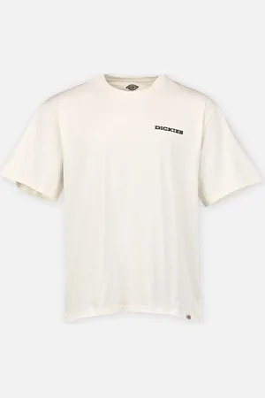 Dickies LANDASCAPE SS TEE