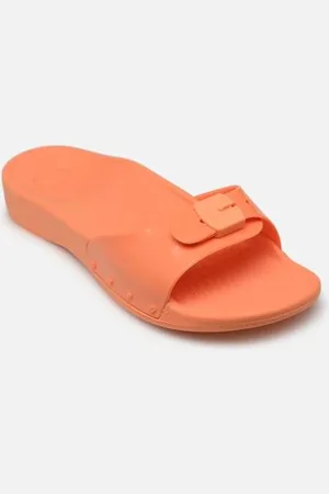 Scholl SUN