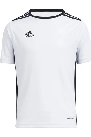 adidas Camisa manga corta ENTRADA 18 JSYY para niño