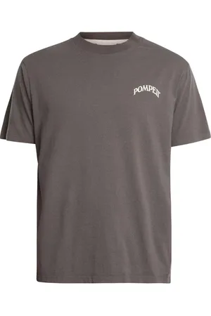 Pompeii Camiseta Camiseta de los mejores amigos para hombre