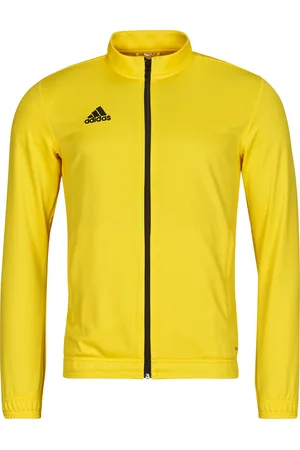 adidas Chaqueta deporte HI2134 para hombre