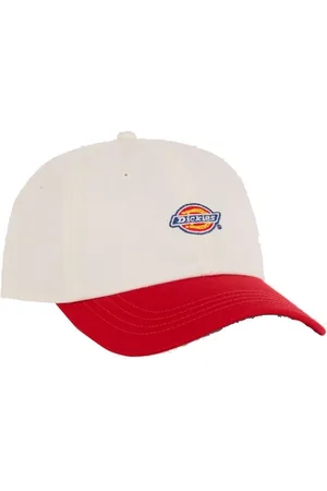 Dickies Gorra HARDWICK 2 TONE EGRET para hombre