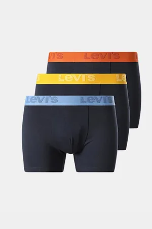 Levi