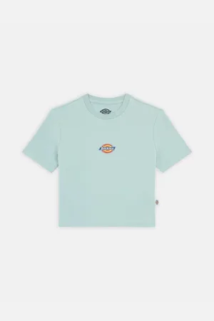 Dickies Tops y Camisetas MAPLE VALLEY DK0A4XPO-J591 BLUE SURF para mujer